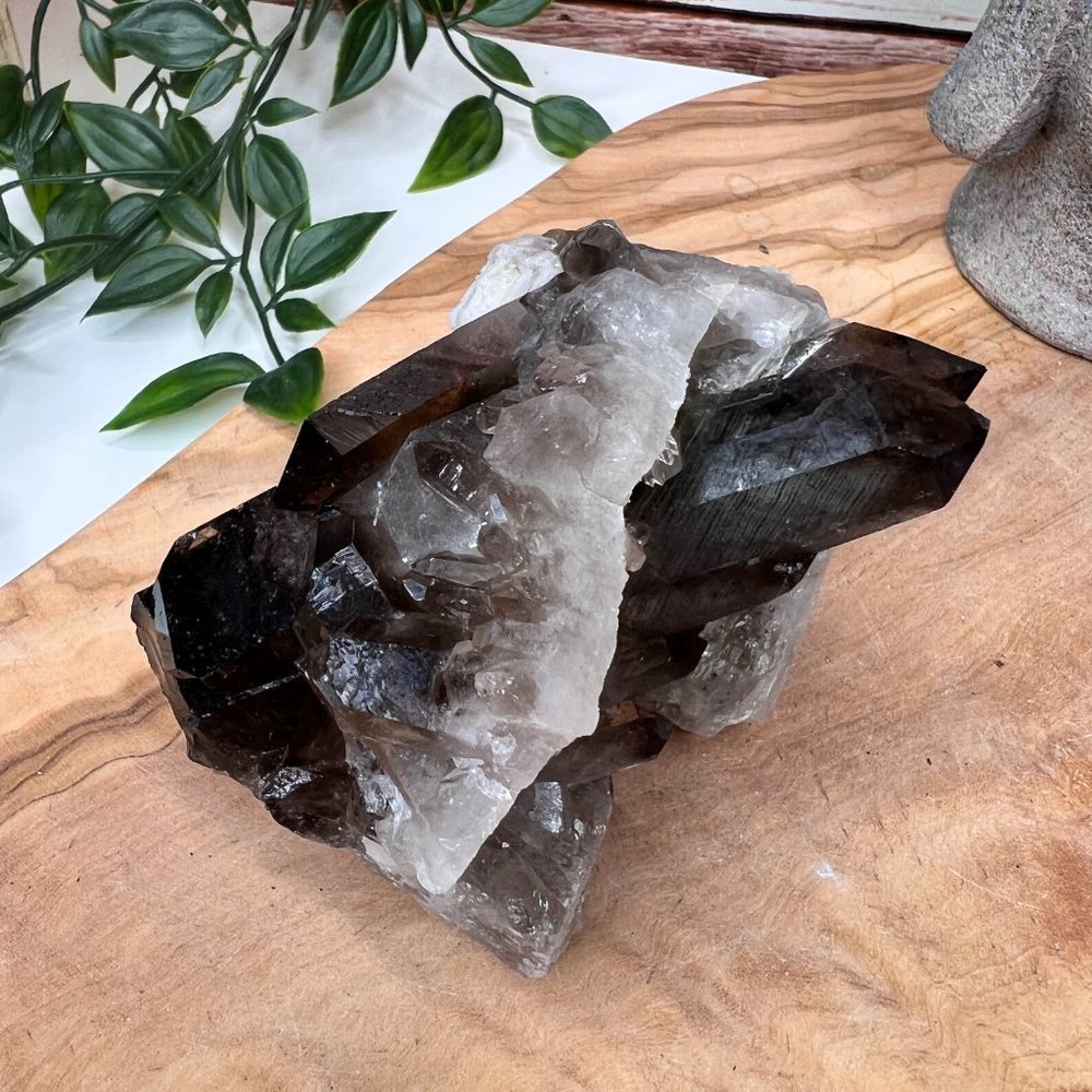 Double Sided Smoky Quartz | Various Pointed Cluster | Grounding Stone